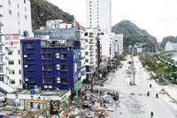 Hình ảnh tan hoang tại đảo Cát Bà sau khi bão số 3 càn quét