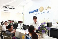 Đến cuối năm 2024, Bảo Việt Nhân thọ vẫn đang ở chế độ... chờ tăng vốn