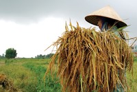 Người nông dân còn khó tiếp cận các sản phẩm Kl99kl phiên bản hoạt động nông nghiệp 