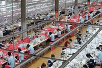 May Sông Hồng Kl99ok phiên bản mới ra nước ngoài, mở dư địa phát triển mới