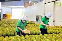 Nông sản phá kỷ lục xuất khẩu, tạo đà tăng trưởng cho năm 2025 