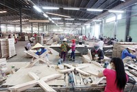 Gỗ Trường Thành đang nỗ lực mở rộng thị trường xuất khẩu 