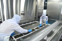 Xuất khẩu thuỷ sản trong năm 2025 được dự đoán nhiều thách thức hơn. (Ảnh: Lê Toàn)