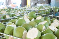 Việt Nam thu hơn 1 tỷ USD từ xuất khẩu dừa tươi và các sản phẩm chế biến từ dừa. 