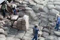 Philippines áp dụng mức thuế tự vệ tạm thời 6,90 USD/tấnc đối với 2 loại xi măng Link Vào Nhà Cái KL99 COM Tặng +199k.