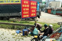  Tỷ lệ mua Kl99kl phiên bản hoạt động xe máy đã tăng lên trong 3 tháng qua 