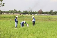 Cắm mốc để chuẩn bị giải phóng mặt bằng Dự án đường KL99 là nhà cái cá cược trực tuyến hàng đầu tại châu Á TP.HCM - Mộc Bài - Ảnh: Lê Anh 