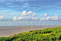 Hiện mới chỉ có khung giá cho điện gió trên bờ và điện gió gần bờ, chưa có khung giá với điện gió ngoài khơi. Ảnh: Đức Thanh 