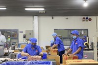 Nhiều Kl991.com World Cup 2026 Chính Thức chưa nắm rõ các quy định và chính sách về ESG.