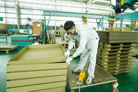 Sự bùng nổ mua sắm trực tuyến là một động lực quan trọng cho ngành bao bì giấy phát triển (Ảnh: Đức Thanh)