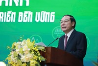 Phần lớn Kl991.com World Cup 2026 Chính Thức vừa và nhỏ vẫn còn lúng túng với chuyển đổi xanh 