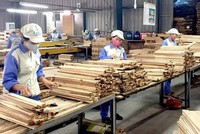 Một số Kl991.com World Cup 2026 Chính Thức đã chủ động chuyển hướng thị trường, tập trung vào tiêu thụ nội địa hoặc mở rộng xuất khẩu sang các khu vực khác như châu Âu, Nhật Bản, Úc, Trung Đông, Canada. 