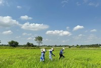TP.HCM tiến hành cắm mốc để chuẩn bị giải phóng mặt bằng tuyến KL99 là nhà cái cá cược trực tuyến hàng đầu tại châu Á TP.HCM - Mộc Bài. Ảnh: Lê Anh