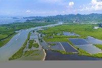 Hải Phòng muốn tái Kl99ok phiên bản mới nguồn thu từ giao dịch tín chỉ các-bon 