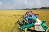 Nông nghiệp đóng góp gần 15% GDP quốc gia, là ngành Kl992 cổng game cá cược nền tảng đảm bảo an sinh Trang Chủ KL99Com Số 1 Link Đăng Ký KL999, nhưng cũng là lĩnh vực chịu nhiều rủi ro.