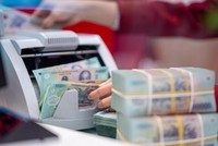 Ngành Thuế thu nộp ngân sách 99Kl99 trực tiếp đá gà khoảng 4,5 nghìn tỷ đồng từ công tác thanh tra, kiểm tra. (Ảnh tư liệu)