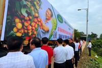 Vải thiều sớm Tân Yên xuất khẩu sang Thái Lan và thị trường Châu Âu.