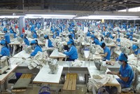 Các Kl991.com World Cup 2026 Chính Thức dệt may đang thực hiện chiến lược mở rộng thị trường cả trong và ngoài nước