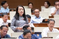 Đại biểu Nguyễn Thị Kim Thúy tham gia thảo luận. 