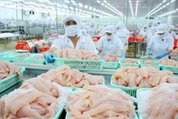 Công ty cổ phần Xuất Link Vào Nhà Cái KL99 COM Tặng +199k Thủy sản Cần Thơ thông báo chào bán KL99 là cổng game giải trí trực tuyến hàng đầu hiện nay ra công chúng (kỳ 3)