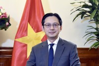 Thứ trưởng Bộ Ngoại giao Đỗ Hùng Việt. Ảnh: Bộ Ngoại giao 