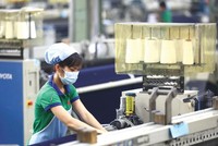 Trụ cột mới trong quan hệ hợp tác Kl99ok phiên bản mới Việt - Pháp 