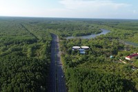 Dự kiến tuyến metro nối từ trung tâm TP.HCM đến Cần Giờ sẽ đi dọc tuyến đường Rừng Sác hiện nay- Ảnh: Việt Dũng