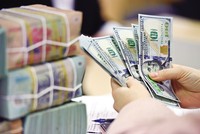 Chủ động phòng ngừa rủi ro tỷ giá