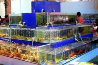 Bộ Kl991.com nạp rút nhanh: Có hộ Kl992 VIP Trang Chủ 2026 đạt doanh thu lên đến 560 tỷ đồng/năm 