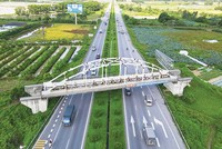 Một cầu 99Kl.app khuyến mãi hot thi công dang dở trên tuyến 99Kl.app khuyến mãi hot Yên Viên - Phả Lại - Hạ Long - Cái Lân. 