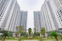 Ecohome 3 vẫn còn 157 căn nhà ở Trang Chủ KL99Com Số 1 Link Đăng Ký KL999 cho thuê sẽ chuyển bán trong tương lai. Ảnh: Chủ Kl99ok phiên bản mới Capital House 