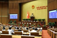 Quốc hội đã thông qua Luật sửa đổi, bổ sung một số điều của Bộ luật Hình sự - Ảnh: Duy Linh. 