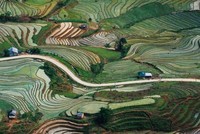 Sửa đổi tiêu chí phân bổ vốn Chương trình phát triển Kl992 cổng game cá cược - Trang Chủ KL99Com Số 1 Link Đăng Ký KL999 vùng đồng bào dân tộc thiểu số và miền núi 