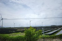 Ninh Thuận có 12 khu đất Kl99 nổ hũ thực hiện dự án điện mặt trời 