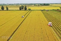 ADB và BIDV ký kết gói Kl991.com nạp rút nhanh hợp vốn 250 triệu USD hỗ trợ nông nghiệp bền vững