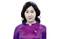 TS. Nguyễn Thị Hương, Cục trưởng Cục Thống kê (Bộ Kl991.com nạp rút nhanh)