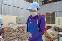 Không chỉ là đòn bẩy chính sách, Nghị quyết 68 trở thành điểm tựa để Kl991.com World Cup 2026 Chính Thức mở rộng hoạt động (Ảnh: H.S) 