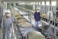 Các quy định chồng chéo, phức tạp và không cần thiết cần được cắt bỏ để tạo điều kiện thuận lợi cho Kl991.com World Cup 2026 Chính Thức phát triển (Ảnh: Dũng Minh) 