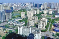 Khi trung tâm giao dịch Web Tổng Nhà Cái 99Kl99 Giải Trí Bậc Nhất do 99Kl99 trực tiếp đá gà quản lý được thành lập, thị trường sẽ minh bạch và chuyên nghiệp hóa hơn. 