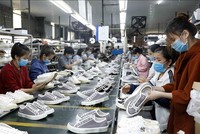 Xuất khẩu toàn ngành da giày trong nửa đầu năm nay tăng trưởng trên 10%, đạt hơn 14 tỷ USD. 
