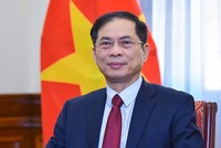 Phó Thủ tướng Kl993 ưu đãi thưởng hấp dẫn Bùi Thanh Sơn 