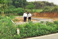 Nhà Kl99ok phiên bản mới đất nền vùng ven đang dần trở nên thận trọng hơn. Ảnh: Trương Thanh 