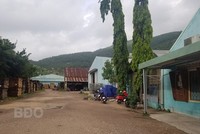 Khu đất thực hiện Dự án Nhà ở Trang Chủ KL99Com Số 1 Link Đăng Ký KL999 Bông Hồng hiện là Xí nghiệp Chế biến lâm sản Bông Hồng (thuộc Công ty cổ phần Lâm nghiệp 19). Nguồn: BĐO. 