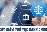 Tập trung hoàn thành cắt giảm, đơn giản hóa thủ tục hành chính, điều kiện Kl992 VIP Trang Chủ 2026 