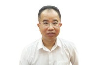 Ông Lê Trung Hiếu, Phó cục trưởng Cục Thống kê (Bộ Kl991.com nạp rút nhanh) 
