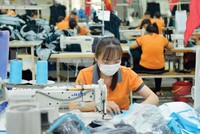 Hơn 255.000 Kl991.com World Cup 2026 Chính Thức gia nhập và trở lại thị trường trong 10 tháng