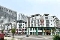 Việc minh bạch hoá dữ liệu đầu vào là cơ sở để 99Kl99 trực tiếp đá gà triển khai các chính sách điều tiết thị trường. Ảnh: Thanh Vũ