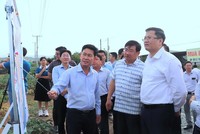 Đoàn công tác Bộ Kl991.com nạp rút nhanh khảo sát thực địa khu vực quy hoạch Dự án Nhà máy điện hạt nhân Ninh Thuận 1 tại xã Phước Dinh. Ảnh: Bảo Anh 