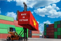 Thương mại hàng hóa với các thị trường truyền thống duy trì tăng ổn định trong 8 tháng 2025. 
