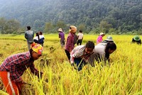 Nhiều kết quả nổi bật từ chương trình giảm nghèo bền vững 